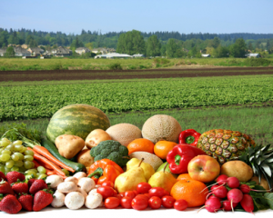 organic-farms