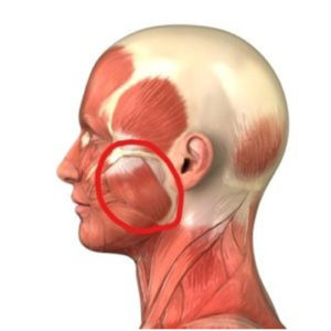 tmj pain relief muscle