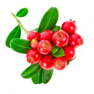 the supplement industry cranberry