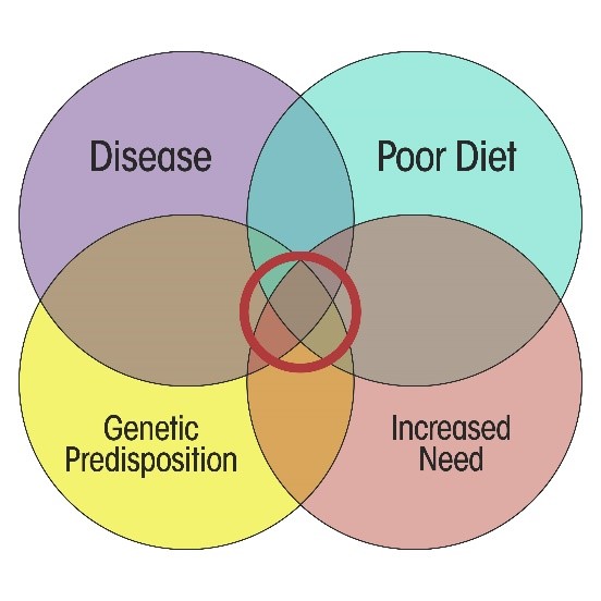 Do Omega3s Reduce Heart Disease Risk Health Tips From The Professor