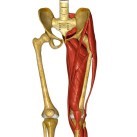 hip pain causes and treatment lateral