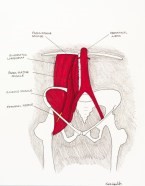hip pain causes and treatment rotator