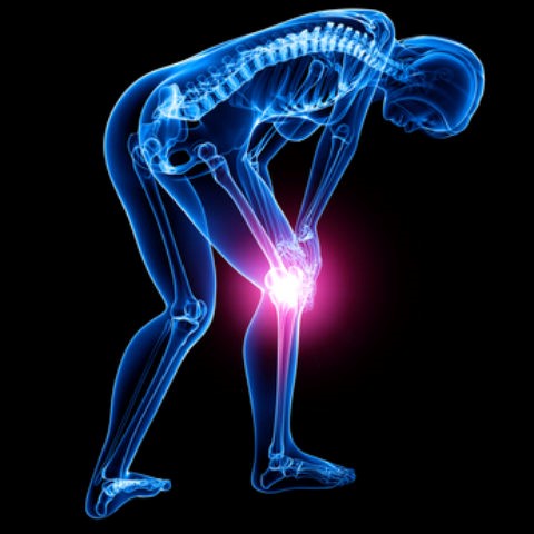 Inner Knee Pain Relief - Health Tips From The Professor