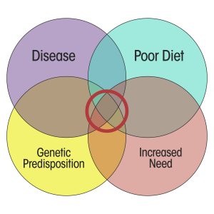 supplements for cardiovascular health diagram